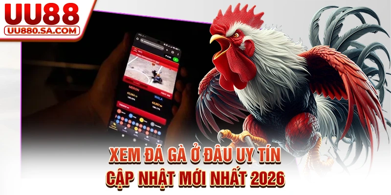 Xem Đá Gà Ở Đâu Uy Tín - Cập Nhật Mới Nhất 2026